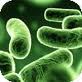 Med-Anesth. Applications iPhone: Antibiotic Advisor