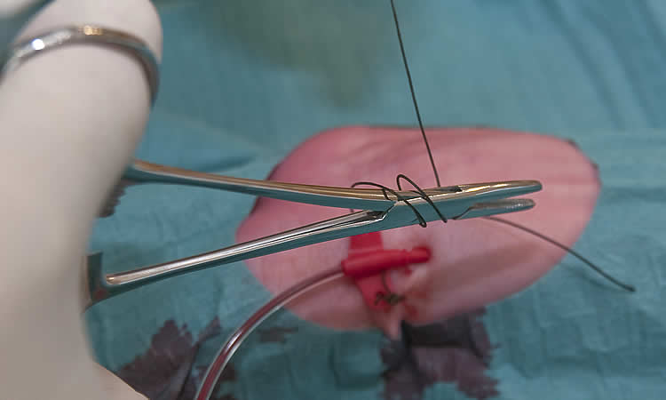 Galerie photographies-de-gestes-de-l-anesthn-siste-au-quotidien.